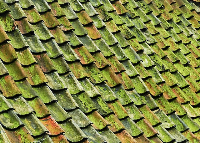 How To Remove Moss from the Roof in Addison, CT