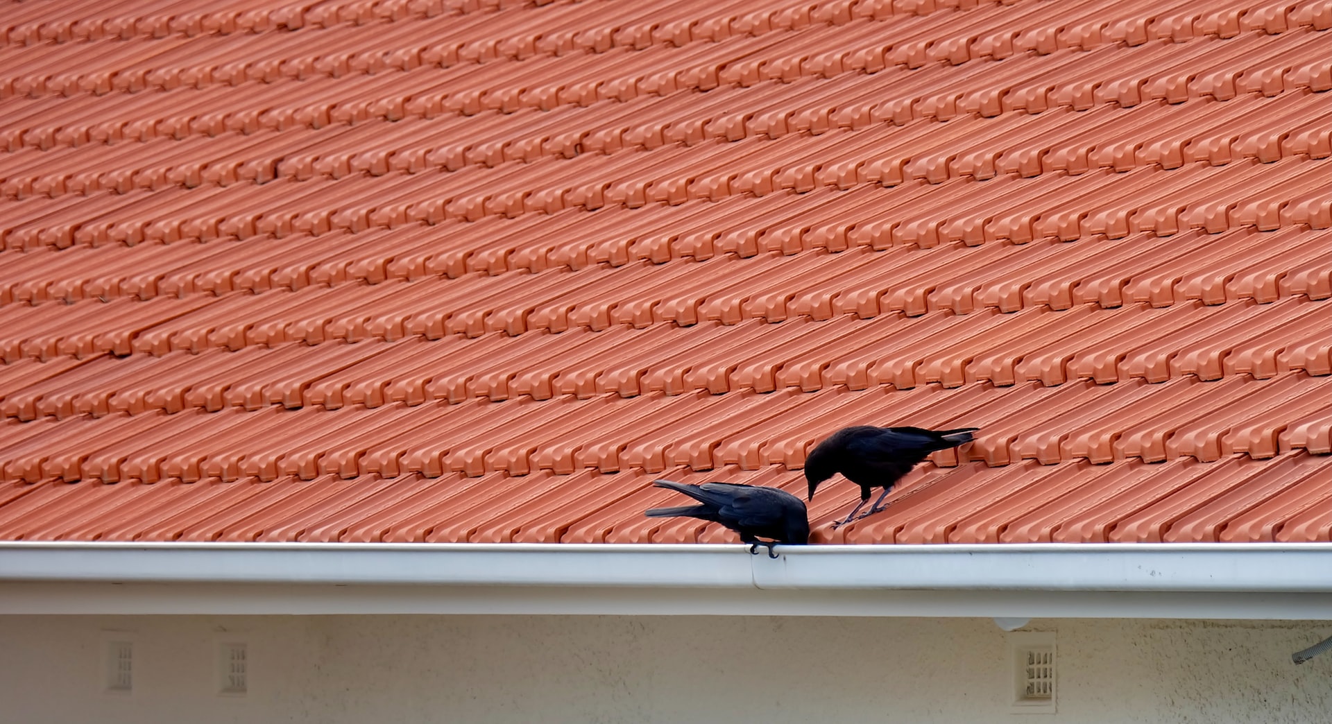 Choosing the Right Roofing Shingle Color: A Guide from the Top Roofing Contractor in Beverly, MA